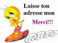 laisse stp